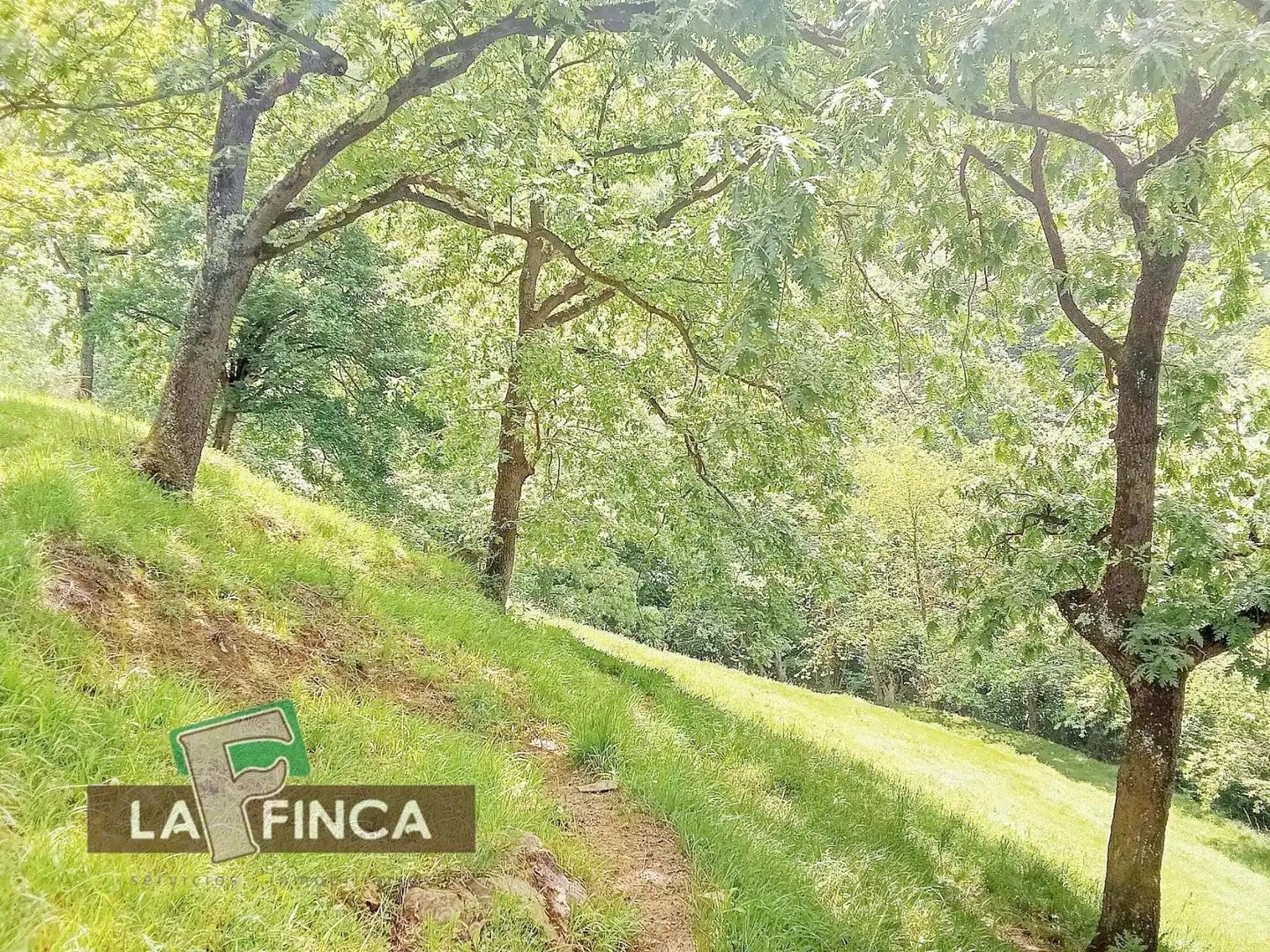 Residencial en venta en Lena