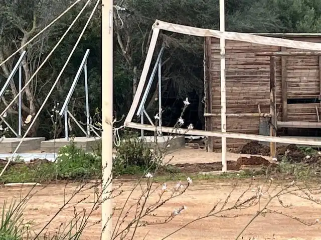 Casa rústica amb piscina en venda a Manacor Centre, imagen 17