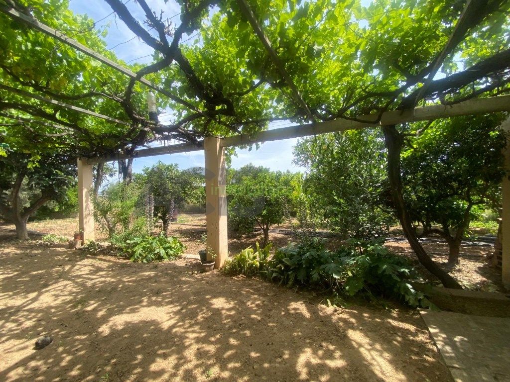Jardí de Casa o xalet en venda en Masalavés amb Jardí privat, Terrassa i Piscina