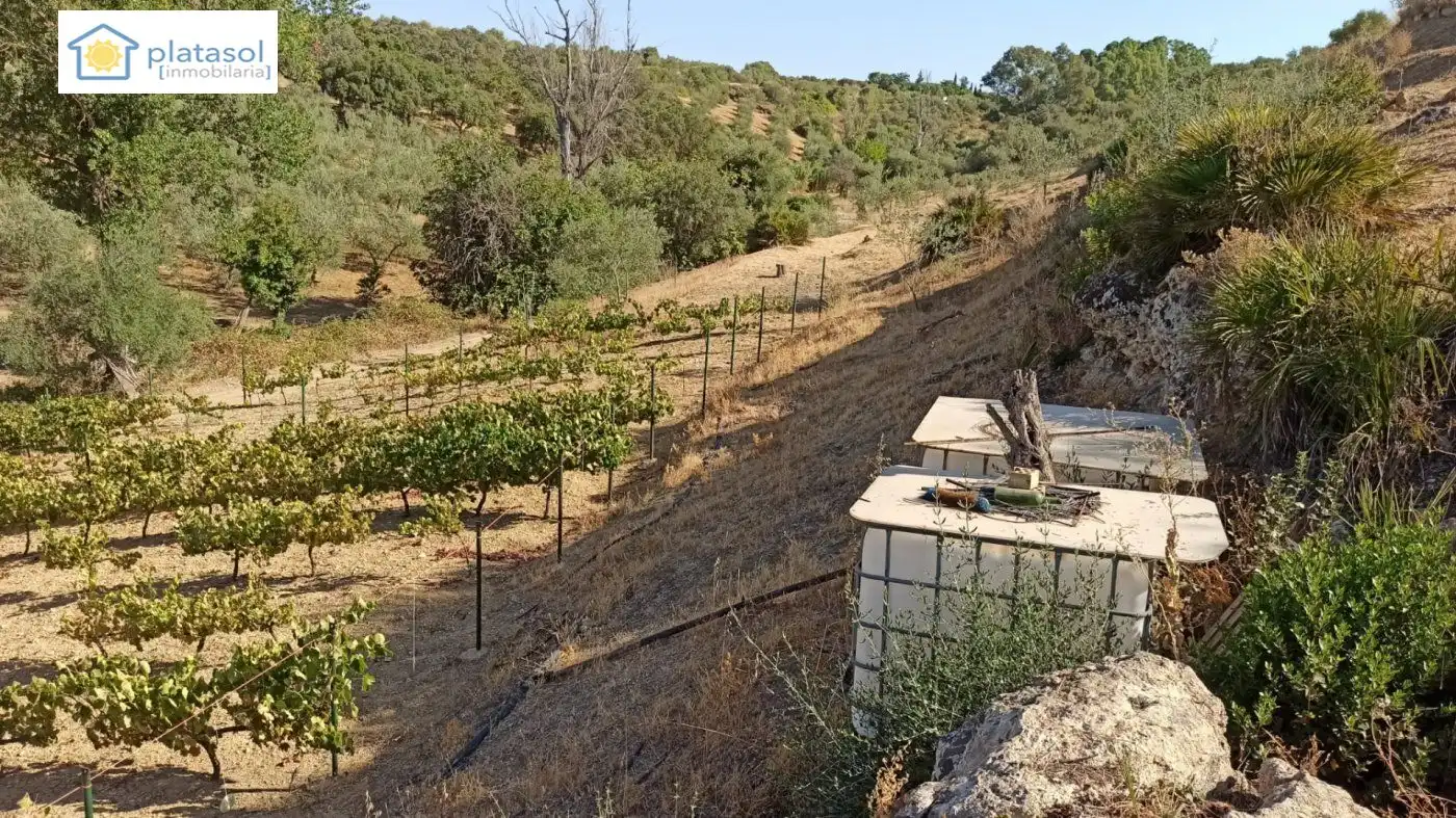 Terreni e lotti in vendita a de la Piedra Caballera, imagen 16