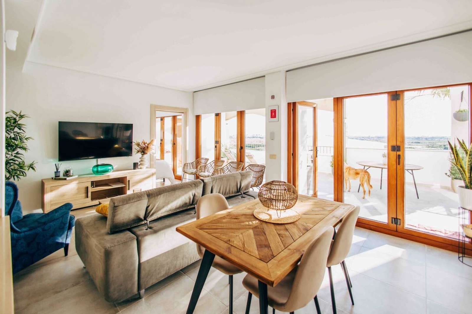 Apartment to share in Xeresa