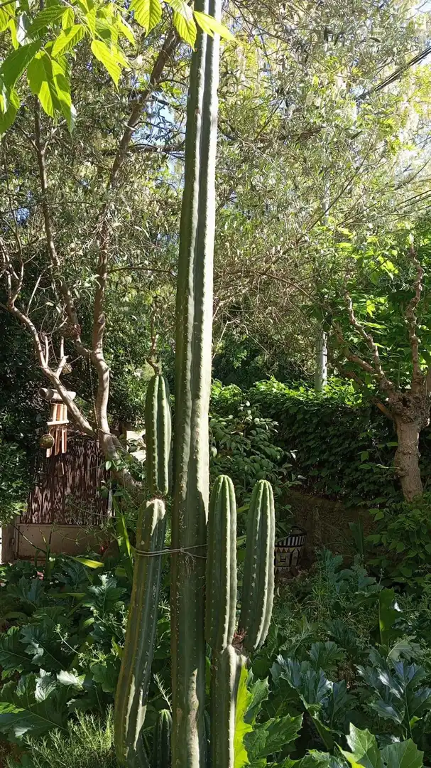 Villa avec terrasse à vendre à Corbera de Llobregat, imagen 11