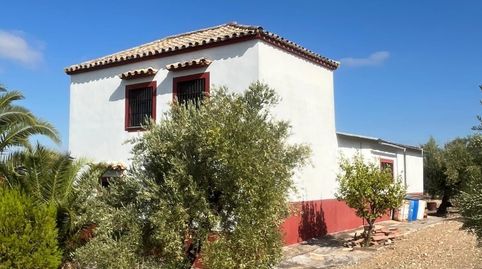 Finca de 7 Fanegas de olivar marteño en Espejo: Un Refugio Rural Único, immagine 4