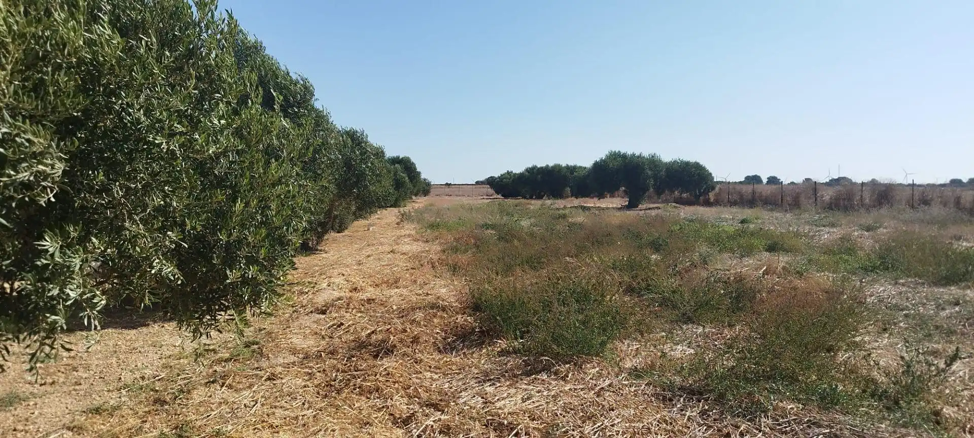 Terreno en venta en Puerto Real