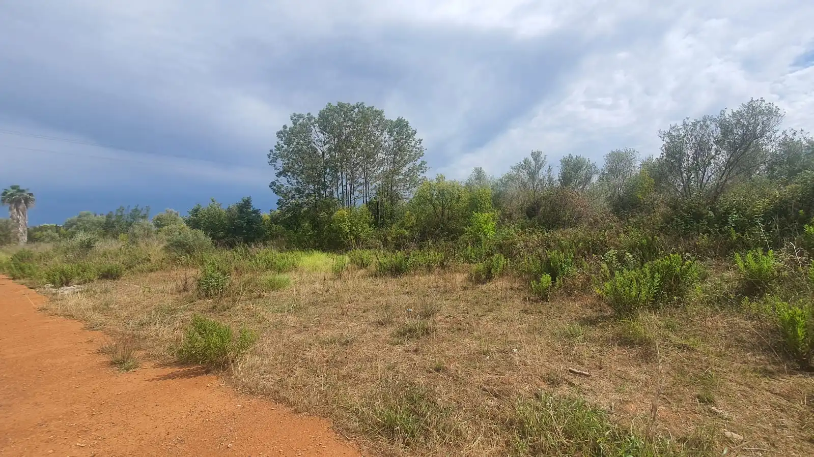 Terreno residencial en venta en Centro, imagen 4