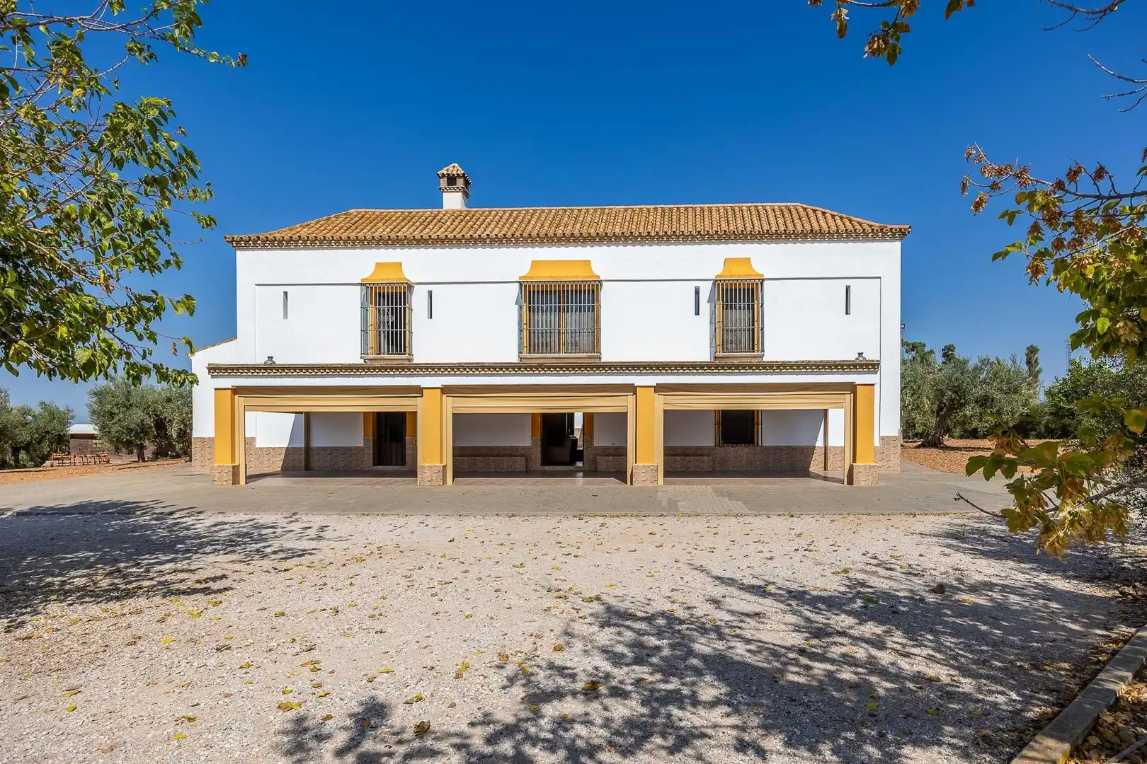 Vista exterior de Finca rústica en venta en Carmona con Calefacción, Jardín privado y Terraza