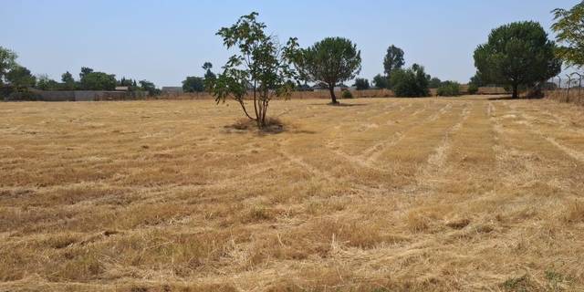 Terreno en Venta en Urbanización LA CELADA en Carmona