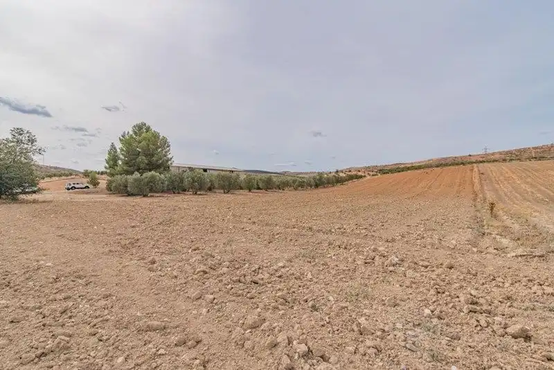 Rustikales Grundstück zum Verkauf in La Malahá, imagen 2