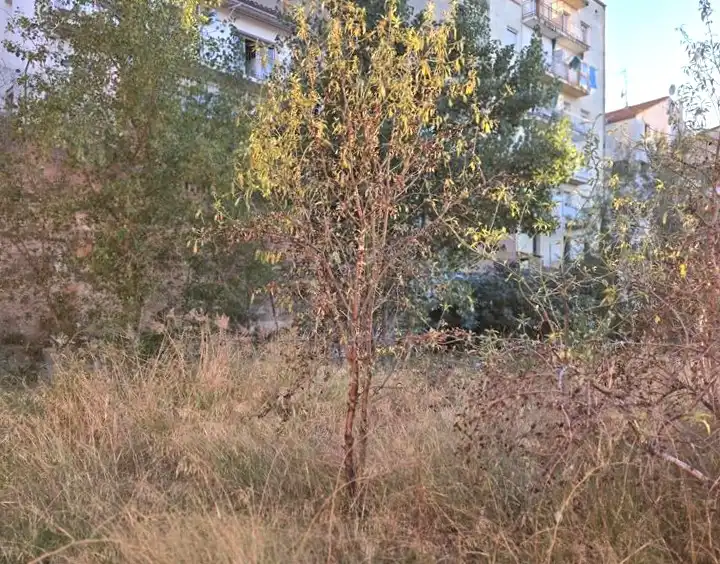 Wohnbaugrundstück zum Verkauf in Puig, imagen 9
