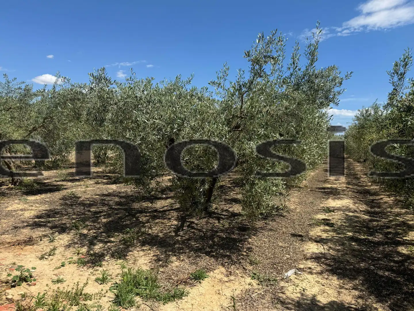 Country homes for sale in Torre-Pacheco  with Private garden, Furnished and Oven