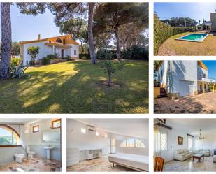 Garden of Single-family semi-detached for sale in Alcalá de Guadaira  with Private garden, Terrace and Balcony