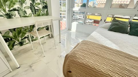 Foto 3 von Zimmer in N/a, El Torrejón - El Cerezo, Sevilla Capital