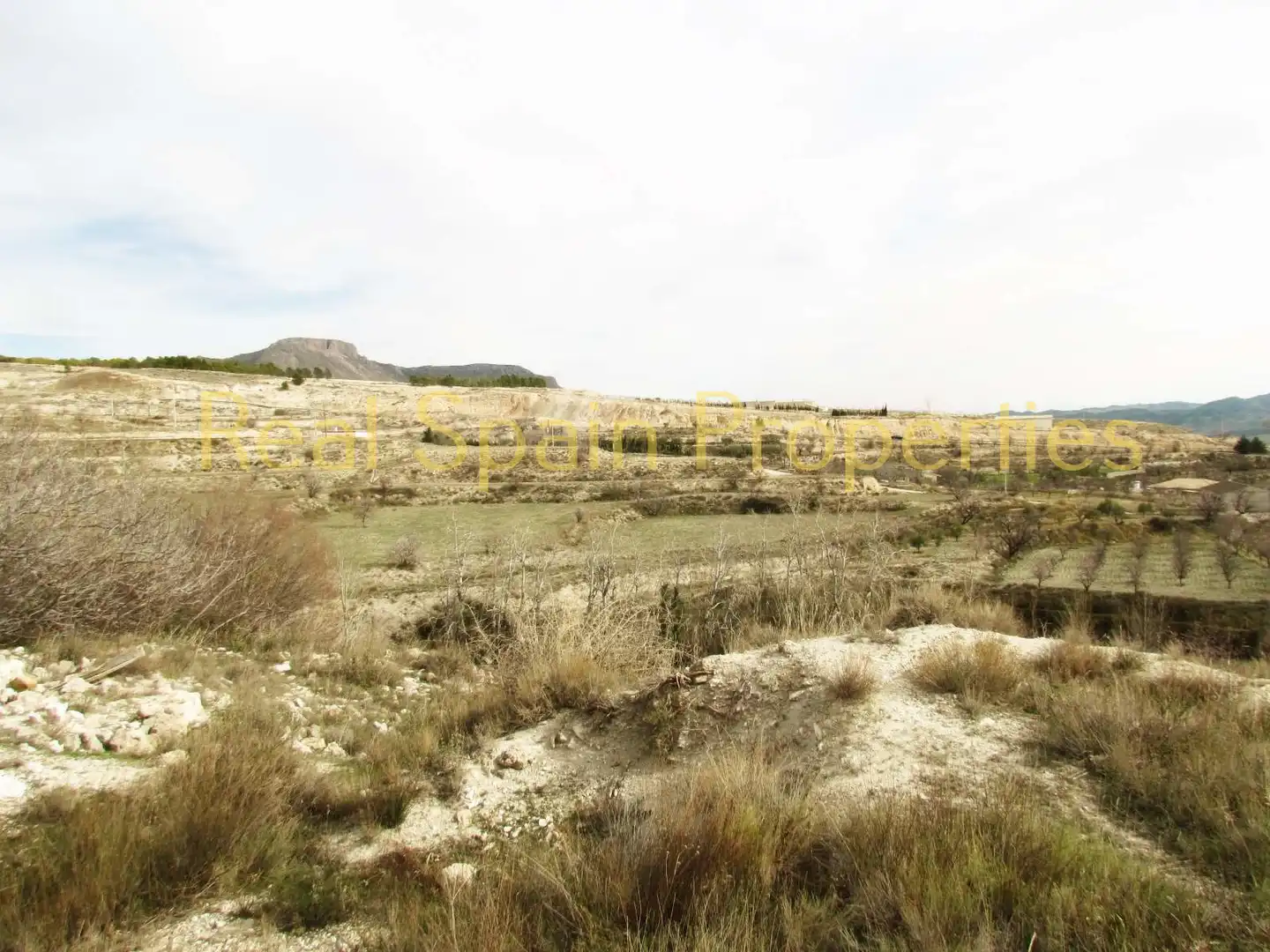 Terrenos y solares en venta en Vélez-Blanco, imagen 2