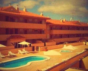 Swimming pool of Flat to rent in San Miguel de Abona