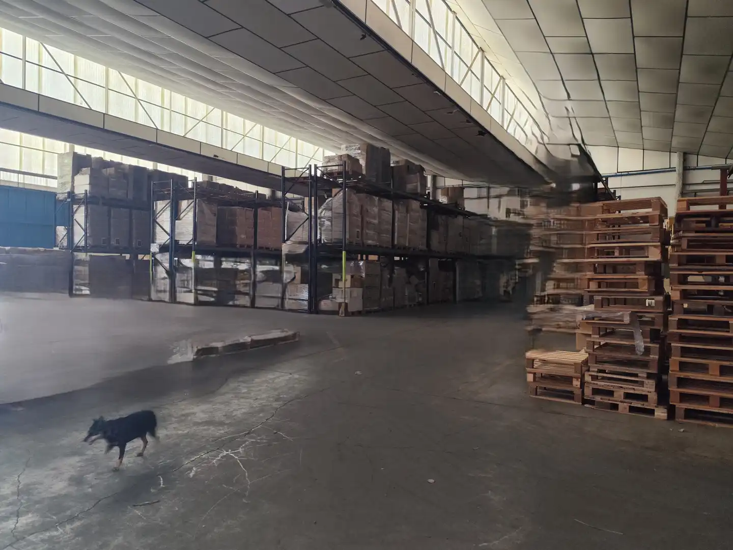 Nave industrial in vendita a Avenida de las Américas 32, imagen 4
