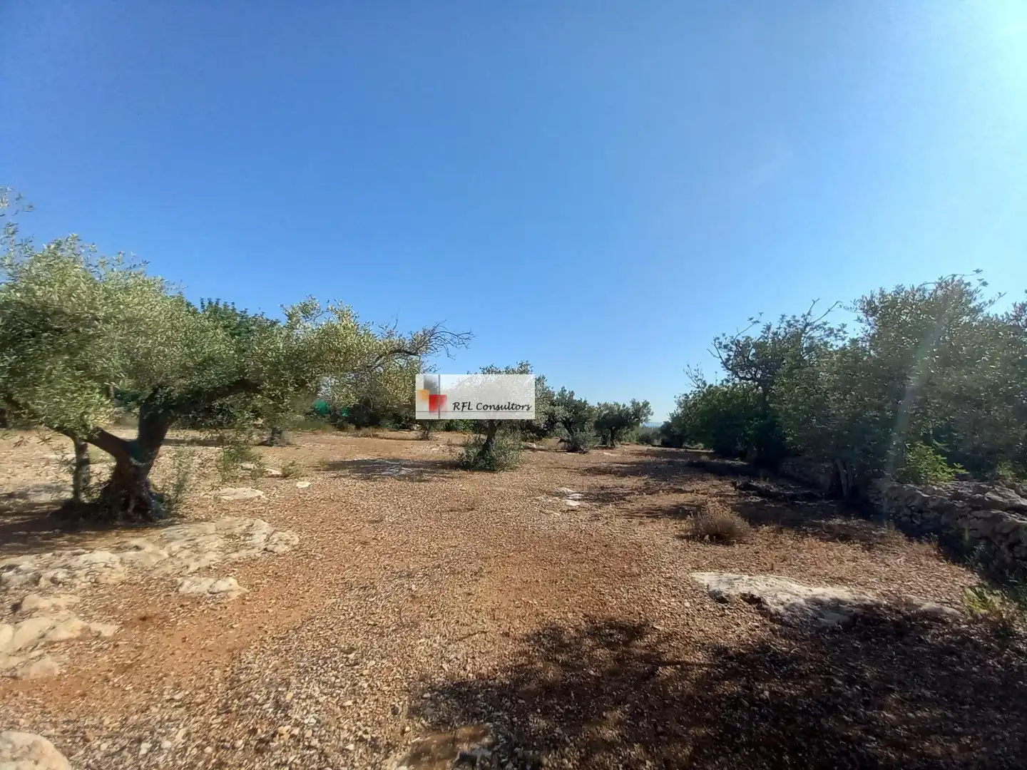 Terreno rústico en venta en L'Ampolla, imagen 15