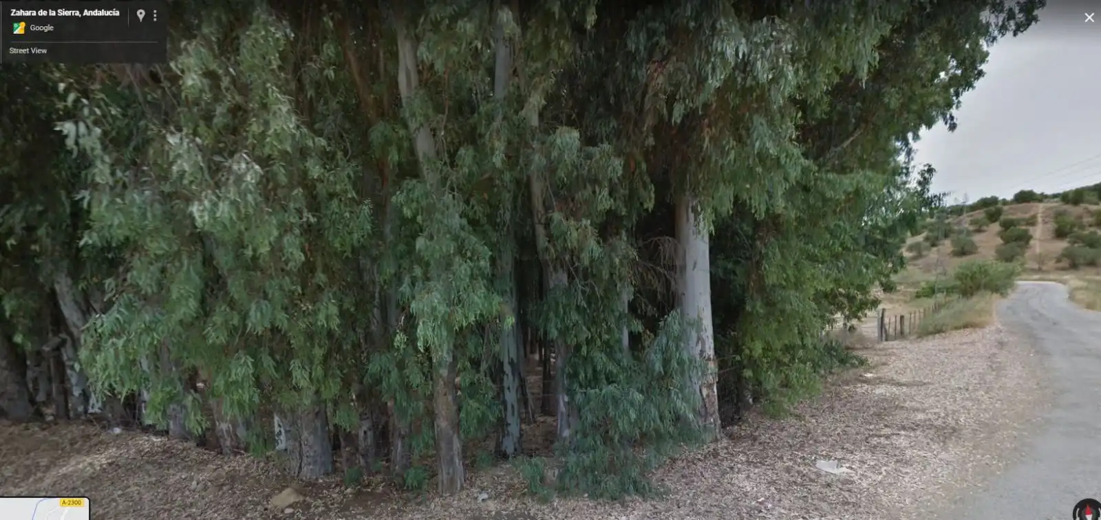 Terreny rústic en venda a Algodonales, imagen 5
