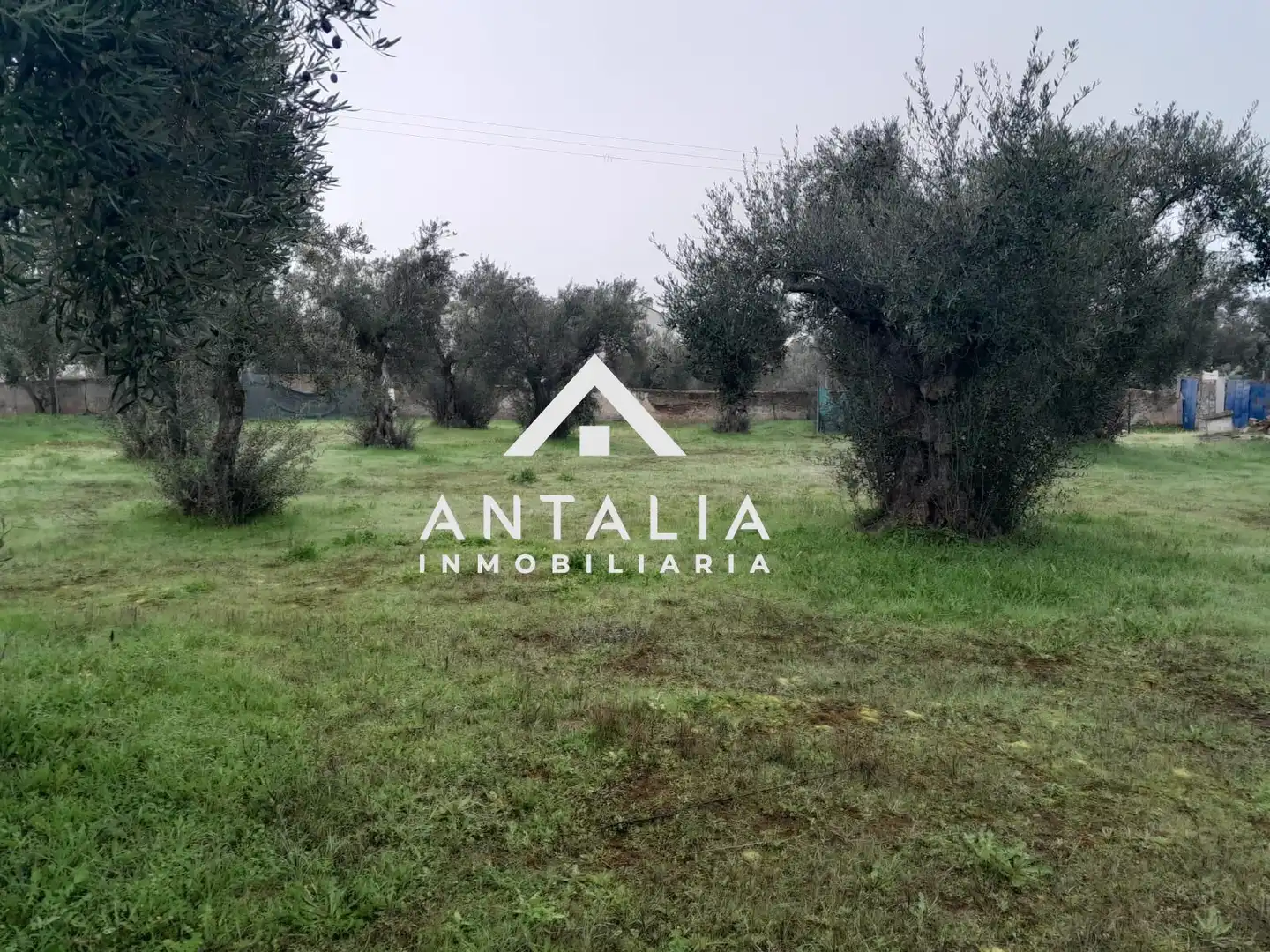 Terreni e lotti in vendita a Malpartida de Cáceres, imagen 11