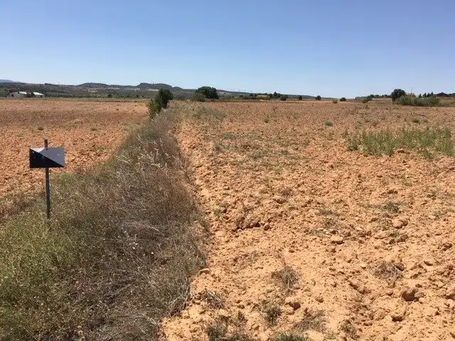 Terrain rustique à vendre à Almansa