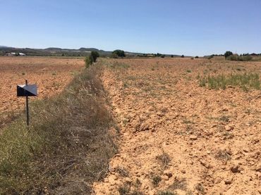 Rustikales Grundstück zum Verkauf in Almansa
