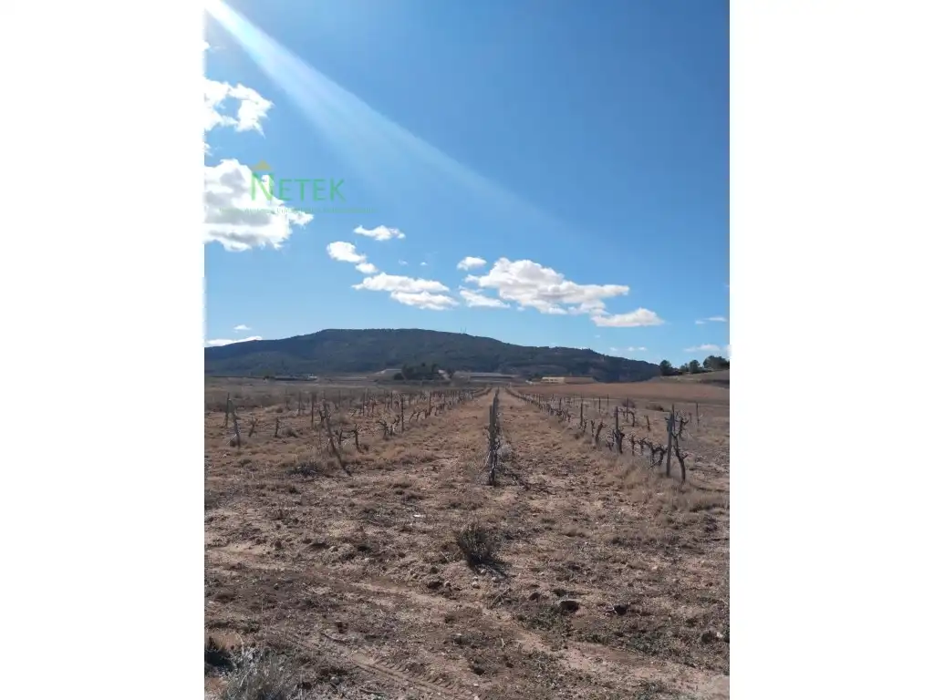 Terreno residencial en venta en Poligono 11 Paraje 135 Salobrar, imagen 6