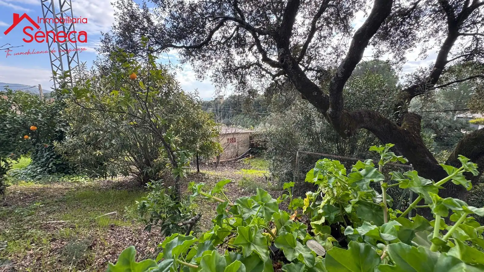 Garden of Houses for sale in Córdoba  with Air Conditioner, Heating and Storage room