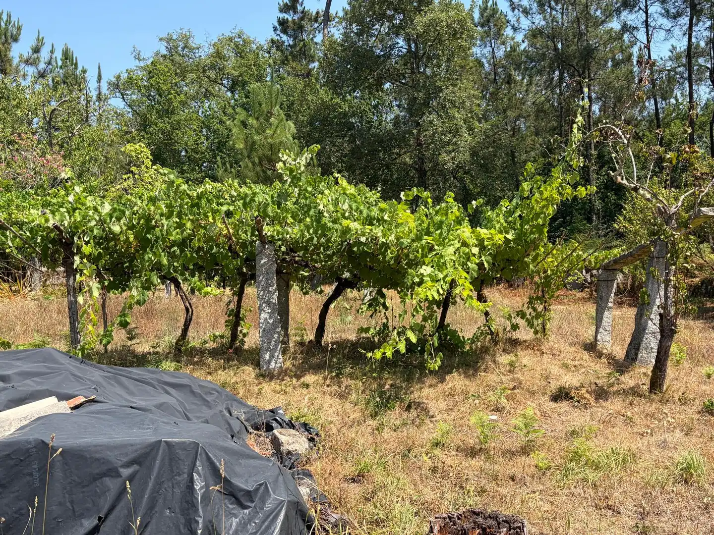Casa o xalet en venda en Salvaterra de Miño amb Jardí privat i Parquet
