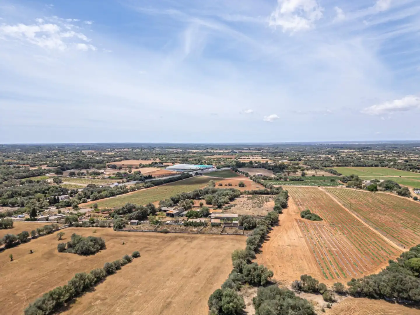 Terreno rustico in vendita a Felanitx Poble, imagen 10