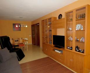 Living room of Flat for sale in Amposta  with Air Conditioner and Balcony