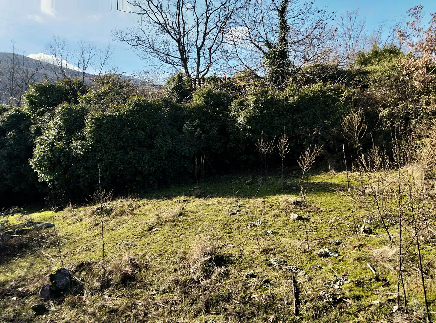 Terreno en venta en Casas del Castañar