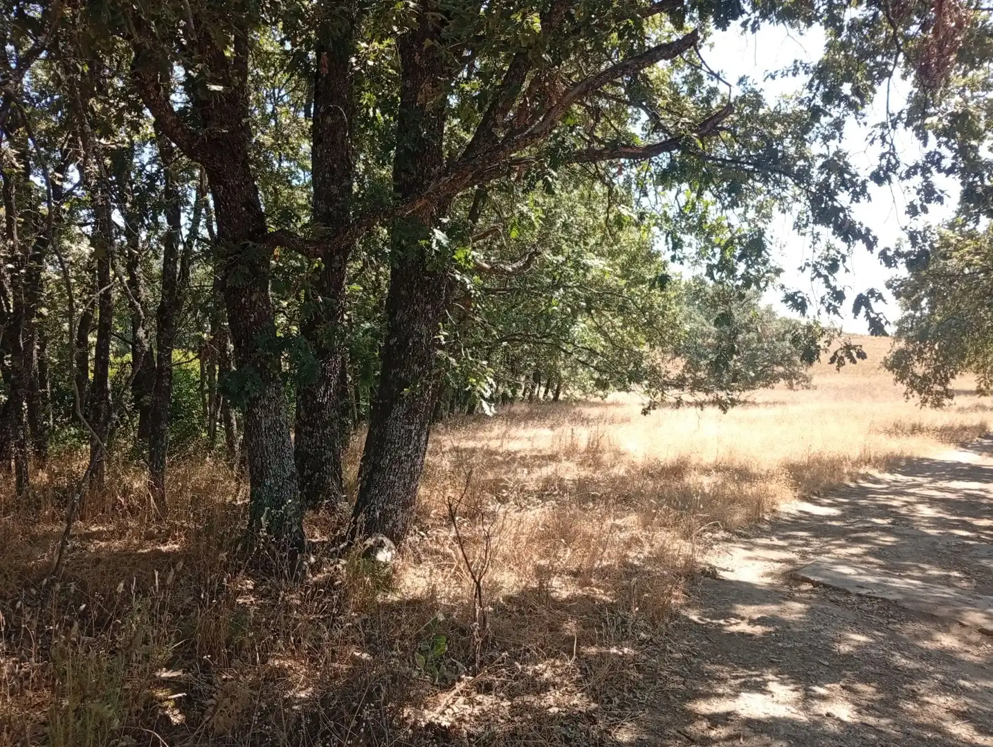 Terreni e lotti in vendita a Villanueva de la Vera, imagen 11