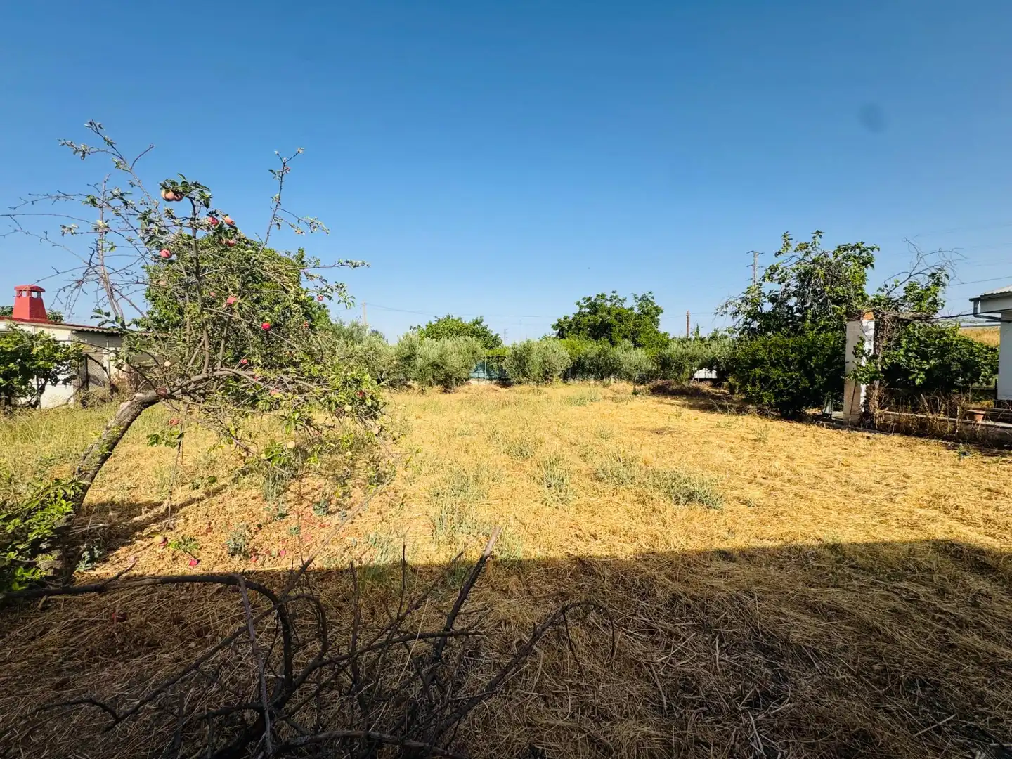 Terreno en venta en Granada