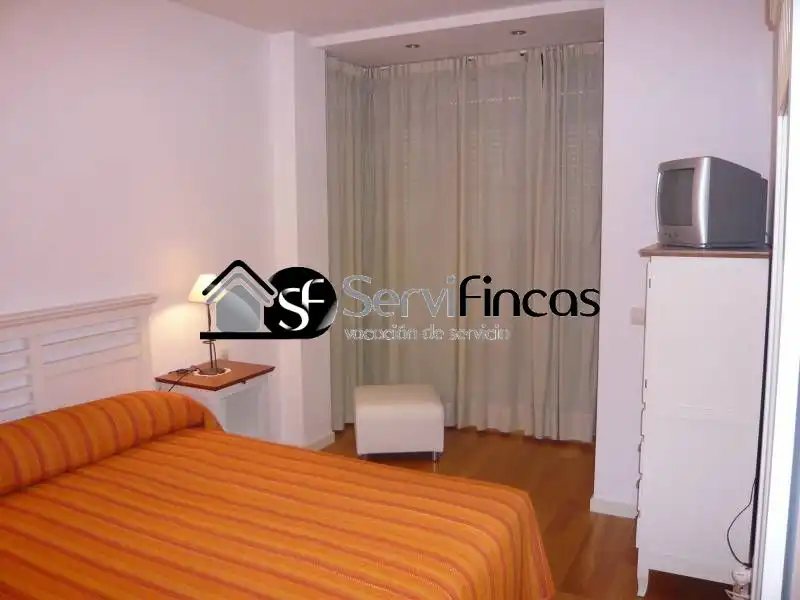 Bedroom of Attic for rent in Madrid  with Air Conditioner, Heating and Private garden