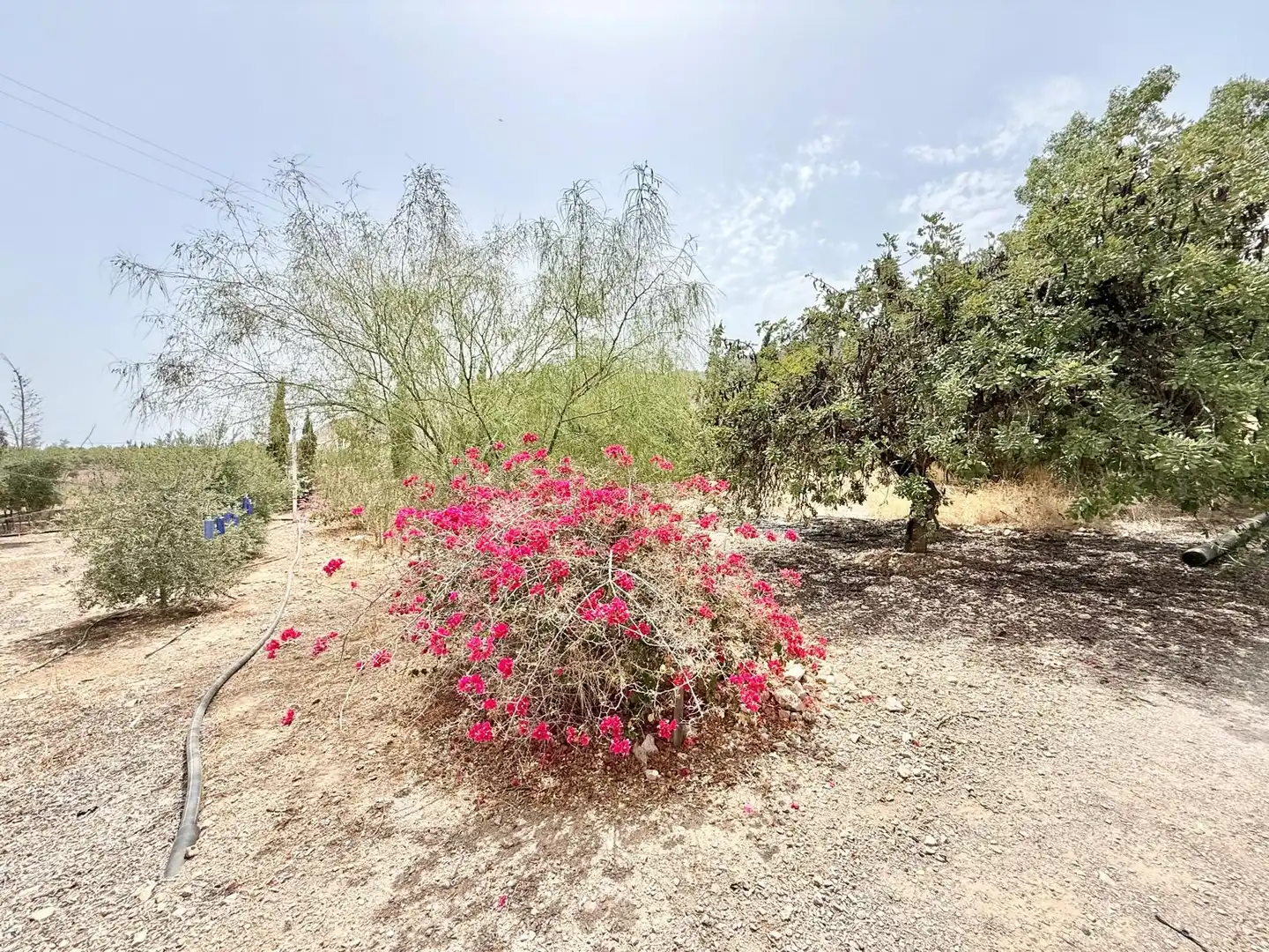 Lands and plots for sale in Cox, imagen 12