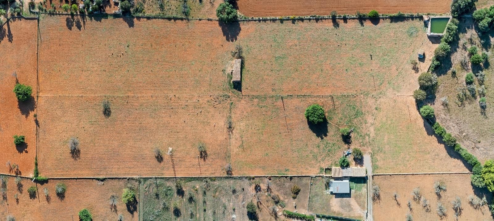 Finca rústica en venda en Búger amb Traster i Piscina