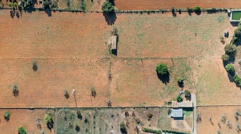 Photo 3 of Country house for sale in Búger, Illes Balears