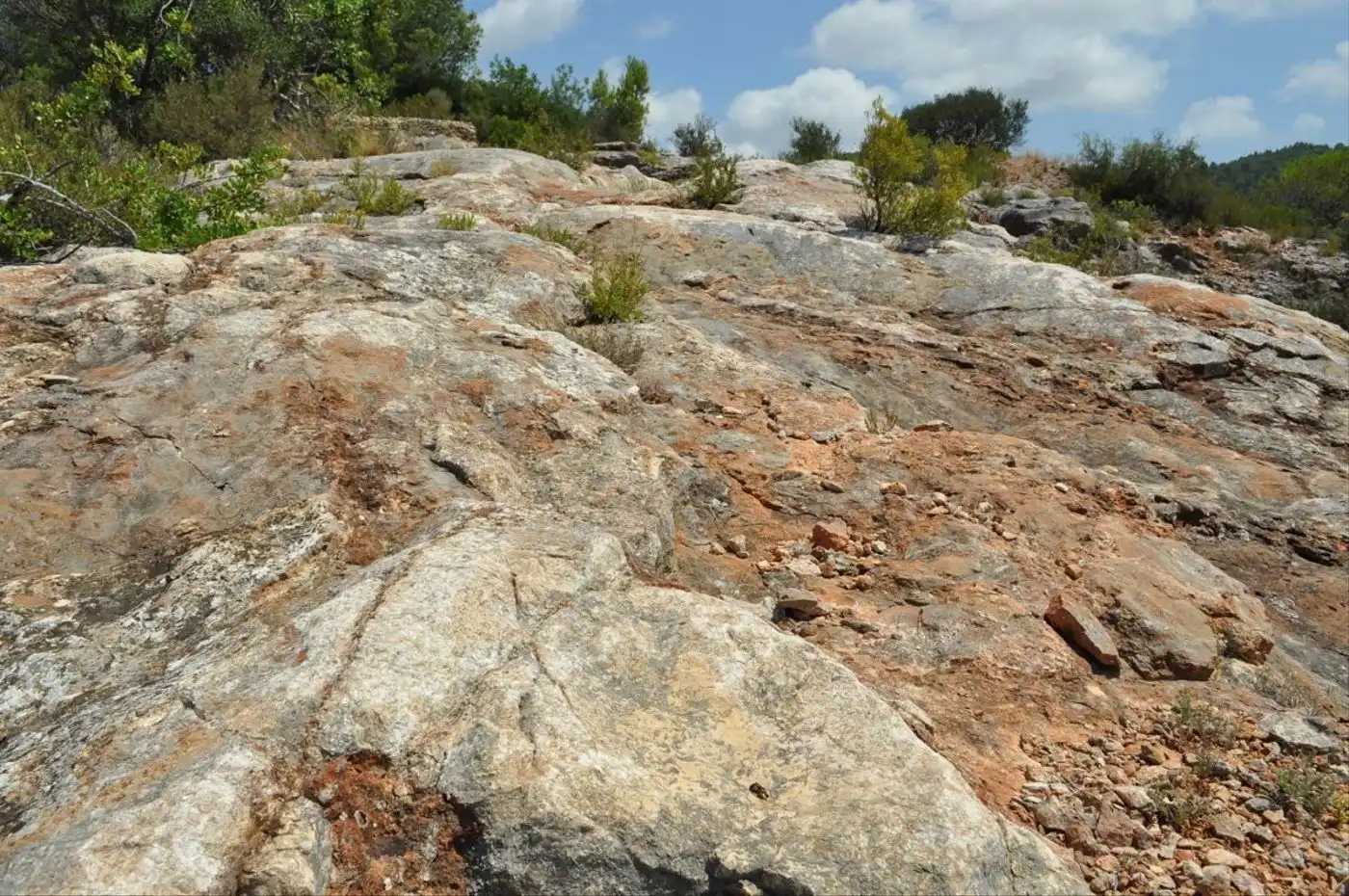 Land for sale in Camí del Barranc de la Llet, 26, Sant Llàtzer