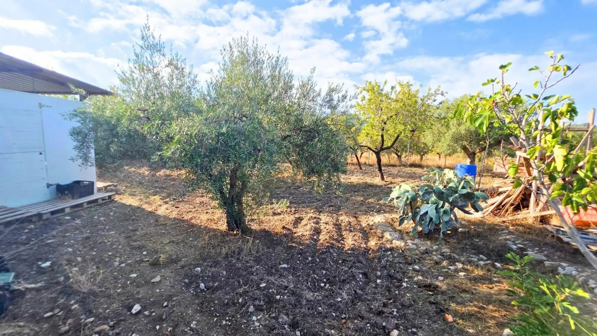 Casa o xalet en venda en Laujar de Andarax, Almería