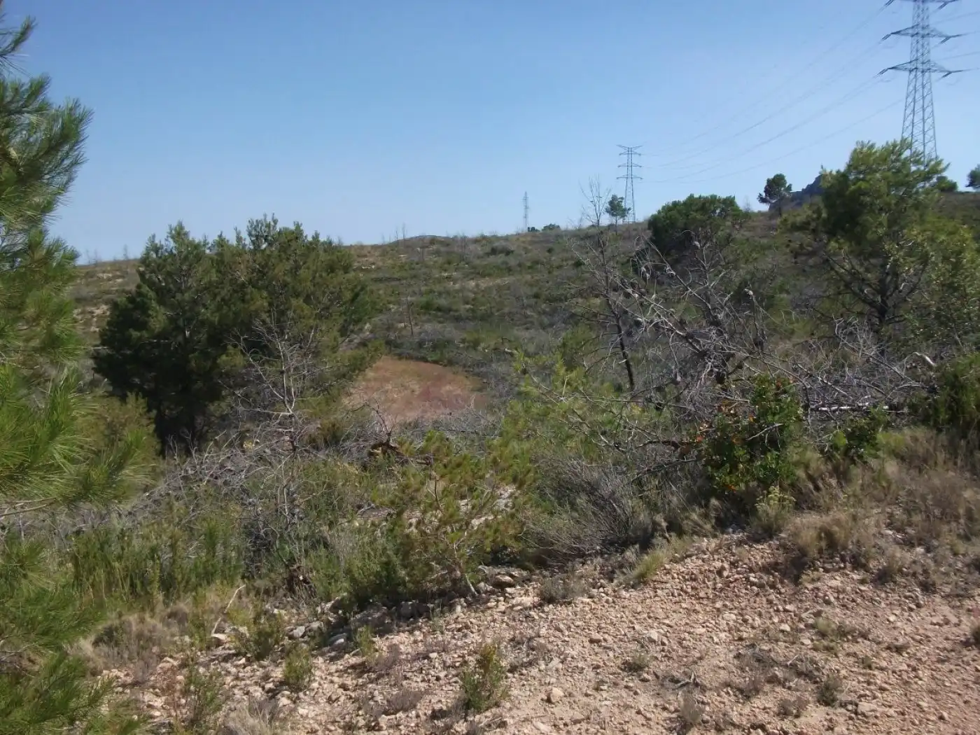 Terrain rustique à vendre à La Nucia Pueblo, imagen 10