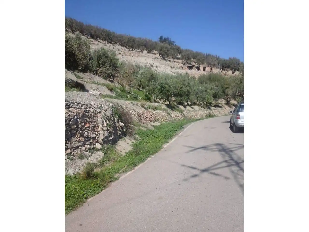Terreno rustico in vendita a Canjáyar, imagen 2