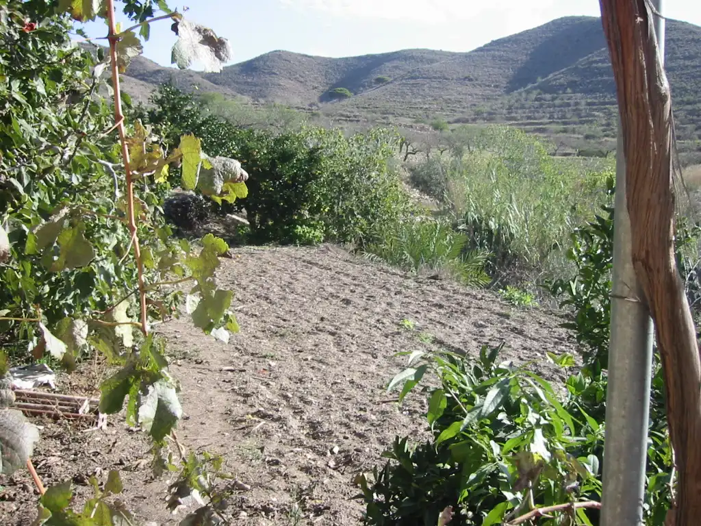 Casa rústica amb jardí en venda a Pedanías Oeste, imagen 11