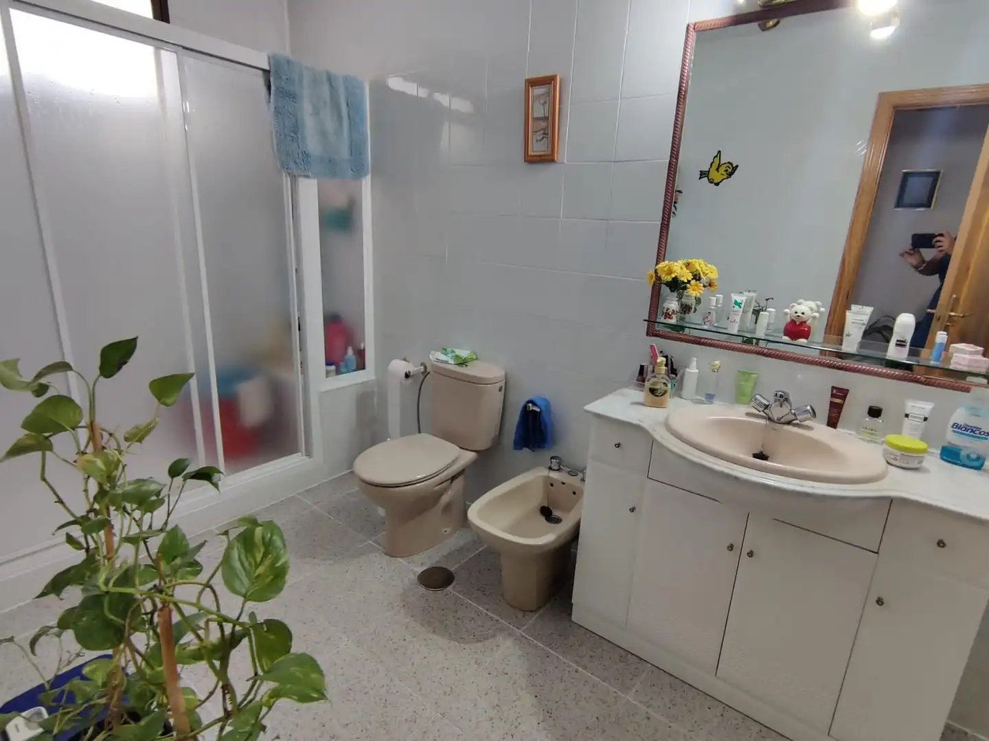 Haus oder Chalet zum Verkauf in El Molar (Madrid)