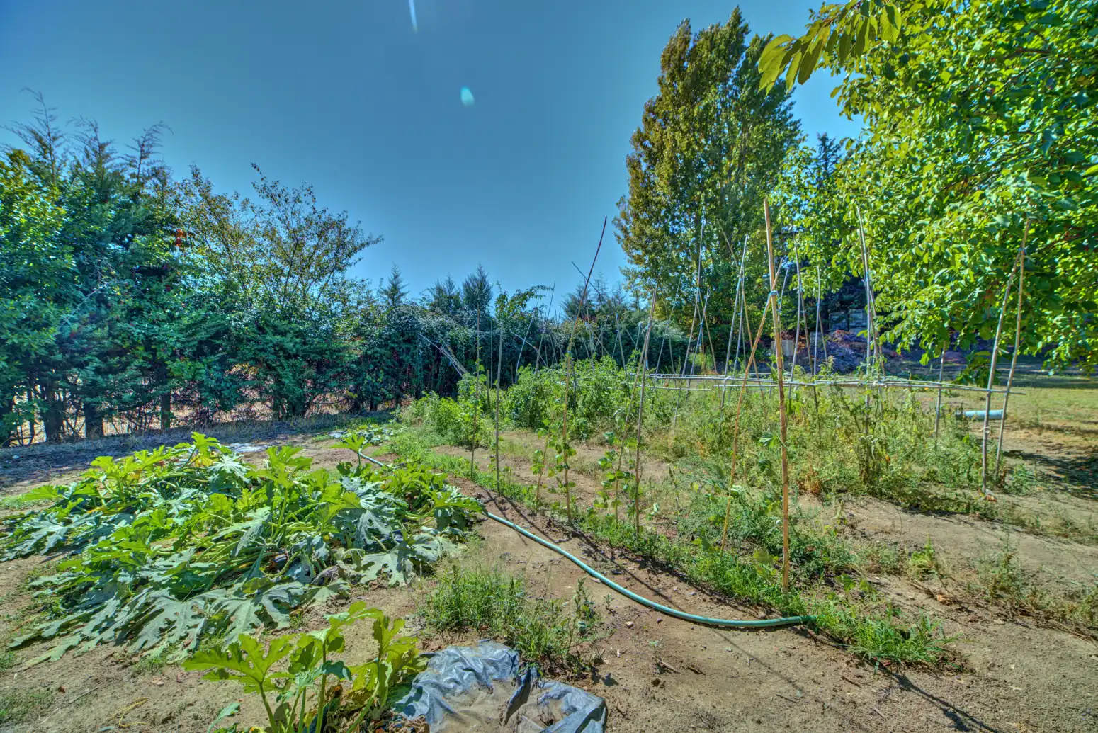 Garden of Land for sale in Salinas de Oro / Jaitz