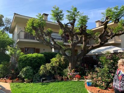 Jardí de Casa o xalet en venda en Benicarló amb Aire condicionat, Terrassa i Piscina