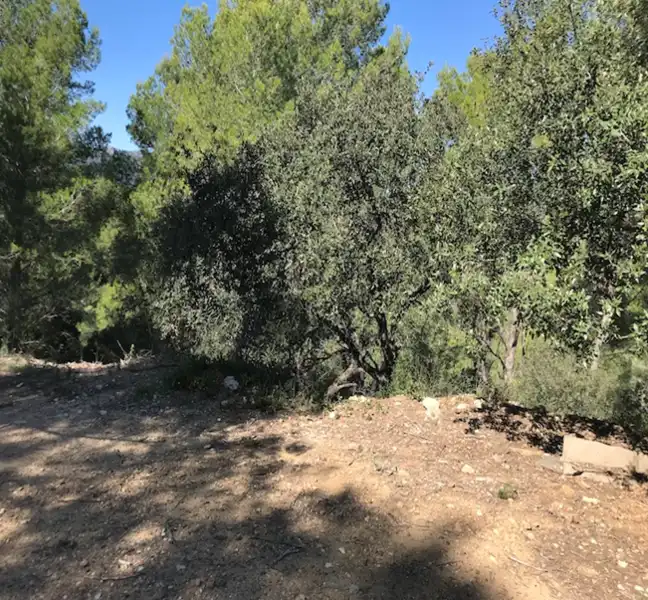 Terreno residenziale in vendita a Ferreteries, imagen 3