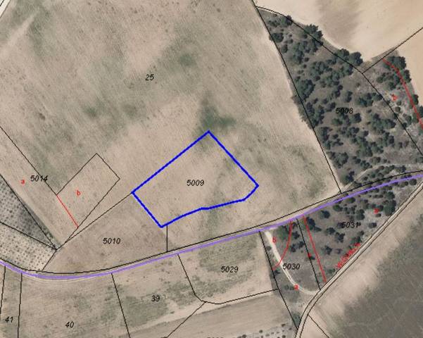 Terreno residencial en Venta en Villanueva de Gómez