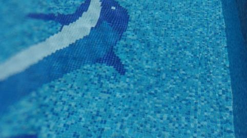 VENTA DE PISO CON PISCINA PRIVADA, imagen 2