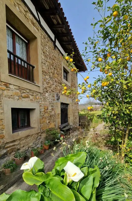 Landhaus zum Verkauf in Amorebieta-Etxano, imagen 19