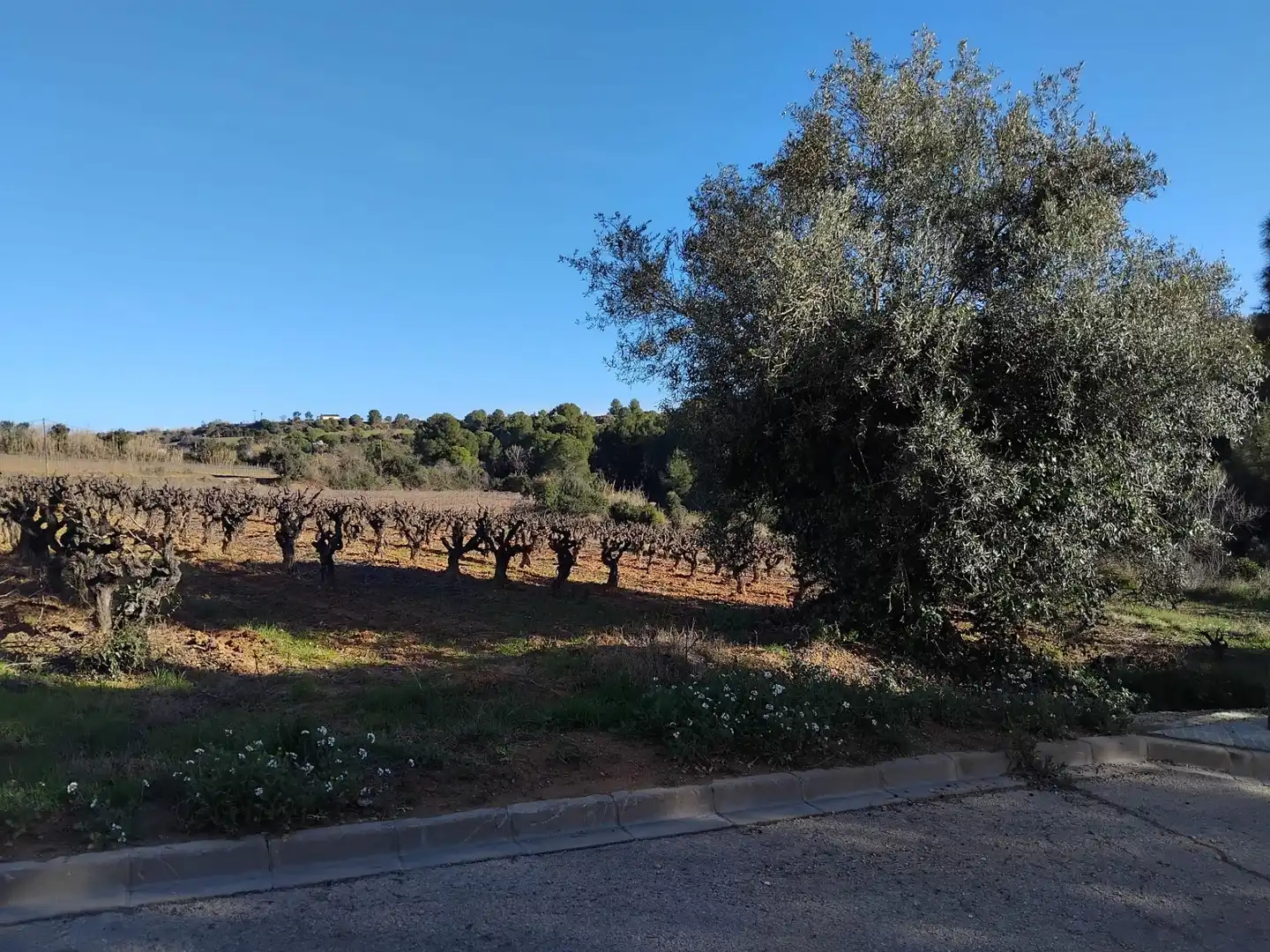 Residencial en venda a Sant Llorenç d'Hortons