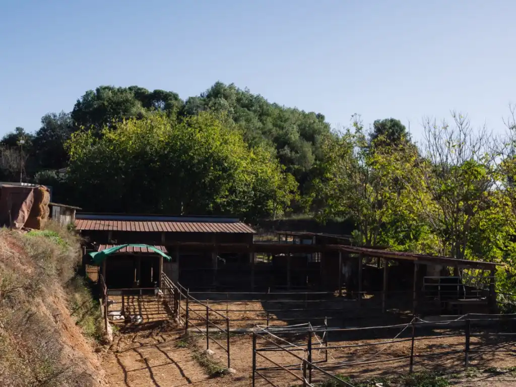 Vista exterior de Finca rústica en venda en Rubí